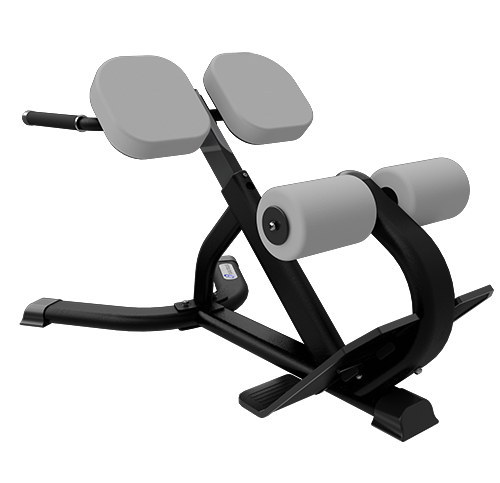 Nautilus - Benches & Racks - 45 Deg Back Extension 9NN-B7502 -60AR
